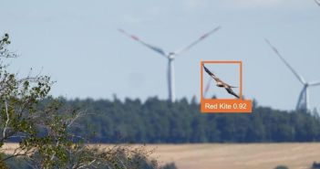 Effektiver Artenschutz und wirtschaftliche Lösungen durch Antikollisionssystem AVES (Foto: Manfred Stöber; Montage ProTecBird)